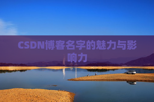 CSDN博客名字的魅力与影响力